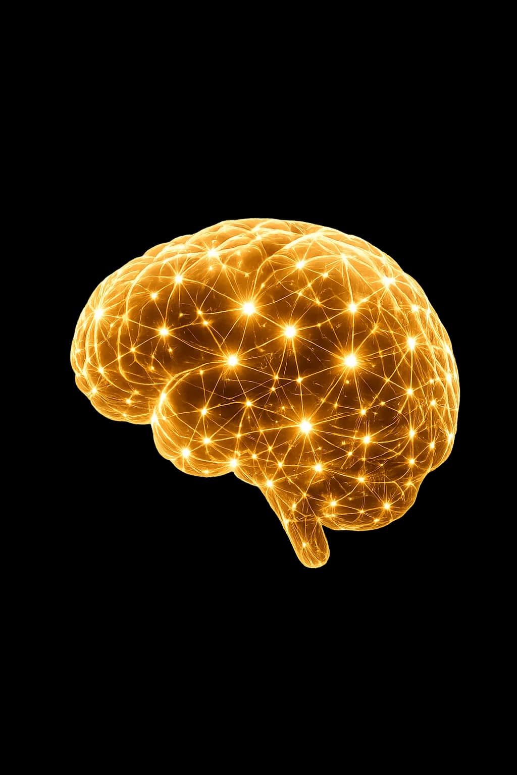 Cerveau IA FARLLOW